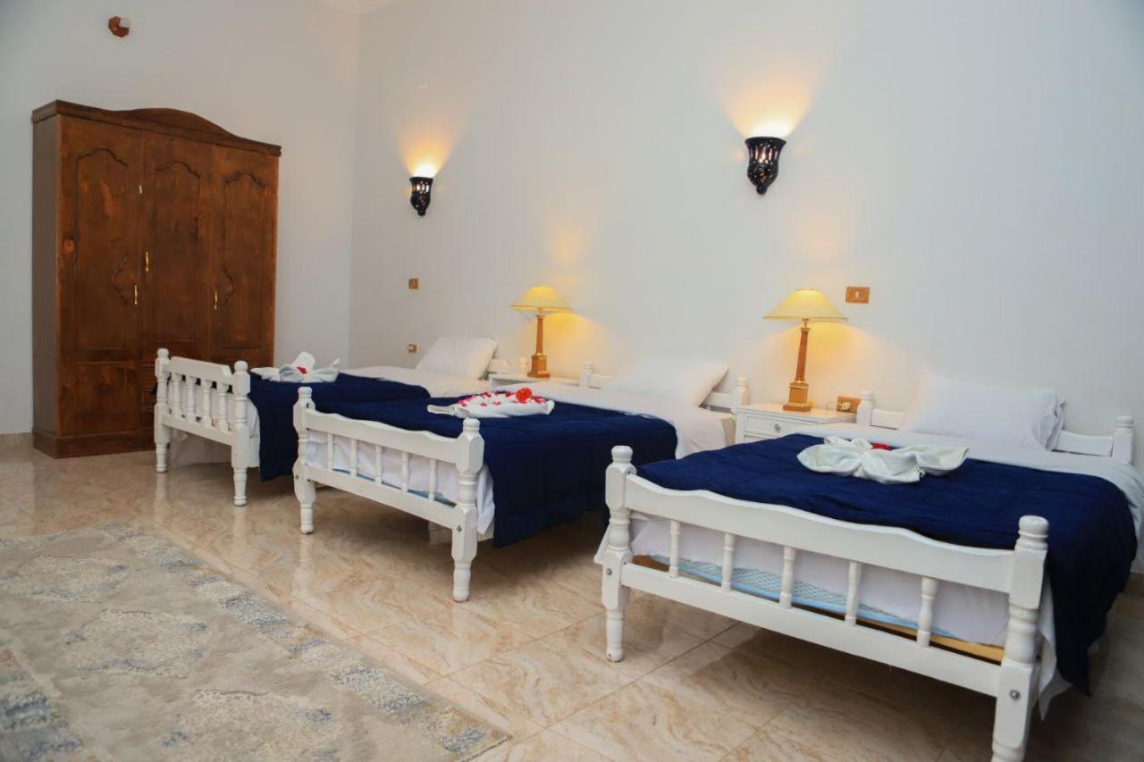 Luxor Oasis Guest House Экстерьер фото